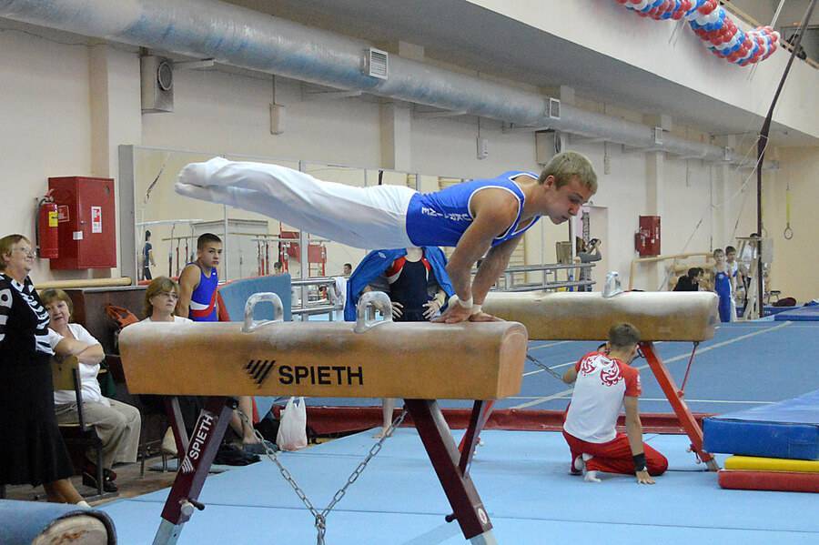 Конь гимнастический прыжковый