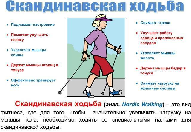 Скандинавская ходьба с палками: польза и вред для здоровья