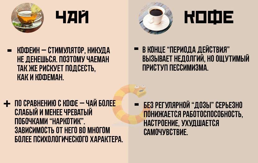12 самых известных мифов о кофе - фактчекинг от tea.ru
