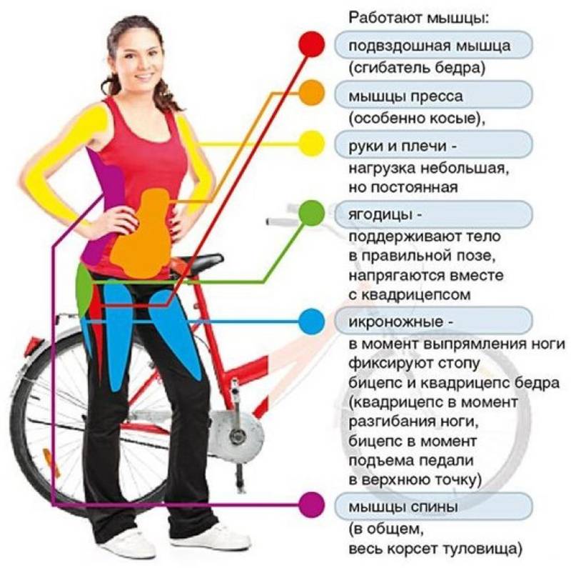 Польза езды на велосипеде для похудения