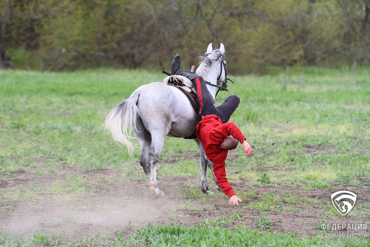 Джигитовка - казачье искусство владения конем