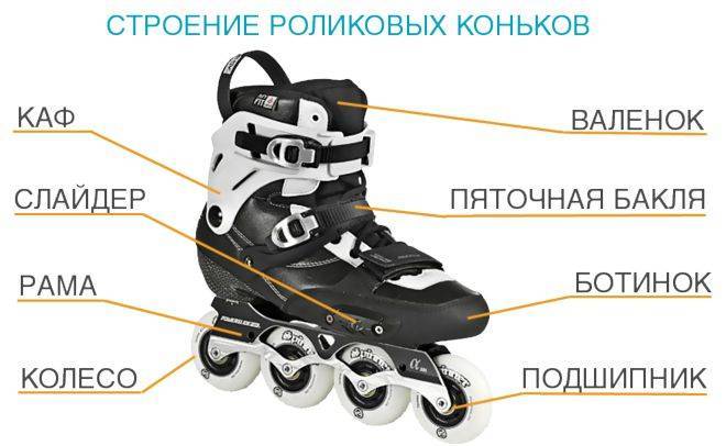 Как выбрать роликовые коньки? как выбрать роликовые коньки для начинающих :: businessman.ru