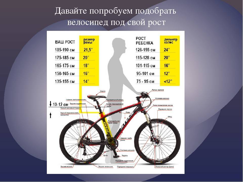 Как выбрать размер рамы велосипеда по росту и весу: таблицы + калькулятор