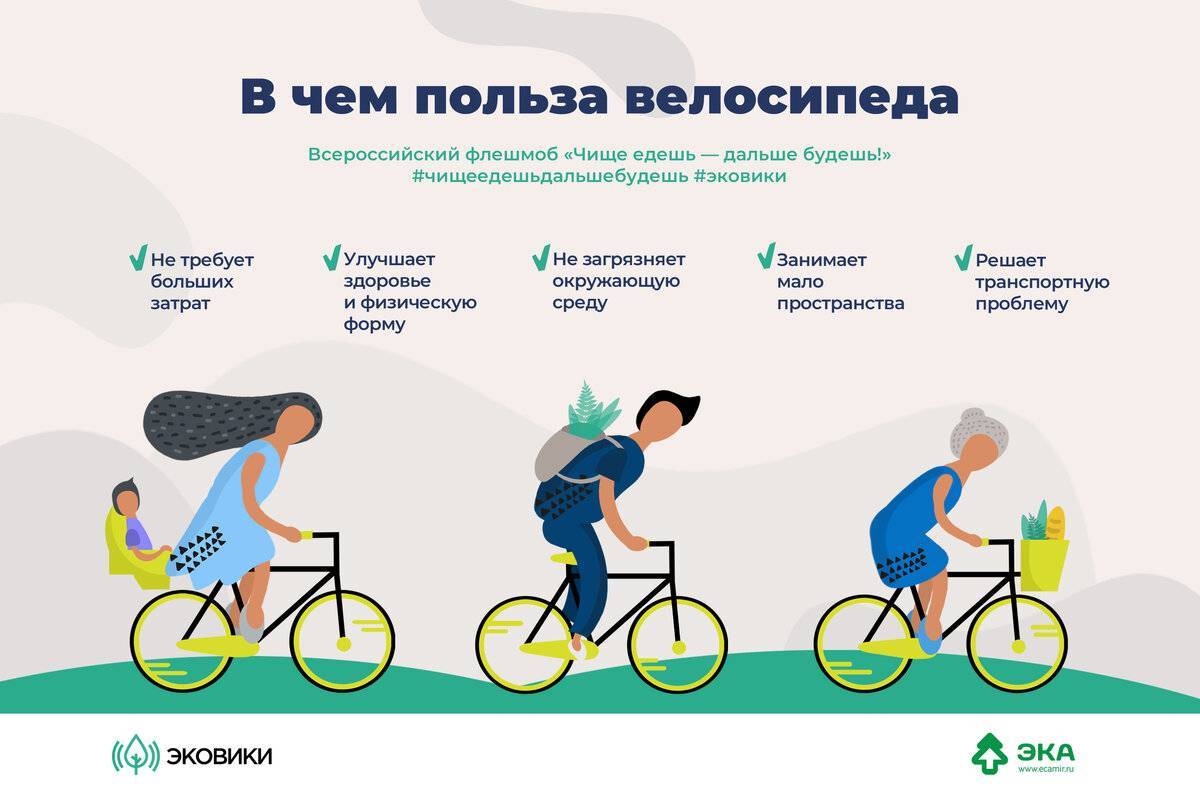 Езда на велосипеде — плюсы и минусы для человека | плюсы и минусы