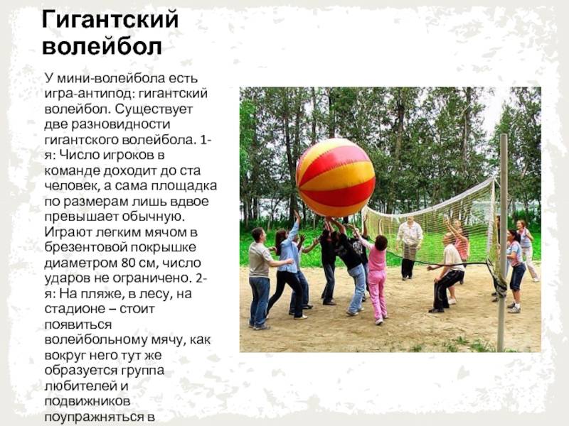 Парковый волейбол(парк-волей) - игра и правила - плюсы и особенности