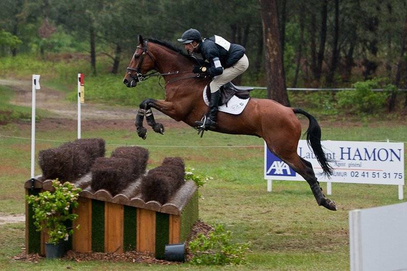 Конный спорт: виды соревнований и препятствий для лошадей
