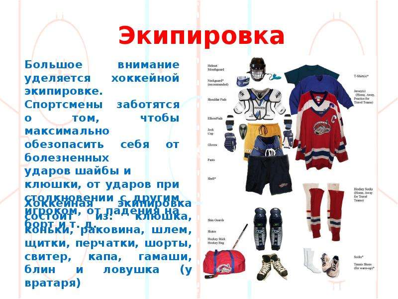 Правила игры в хоккей: какой должна быть хоккейная площадка, экипировка игроков