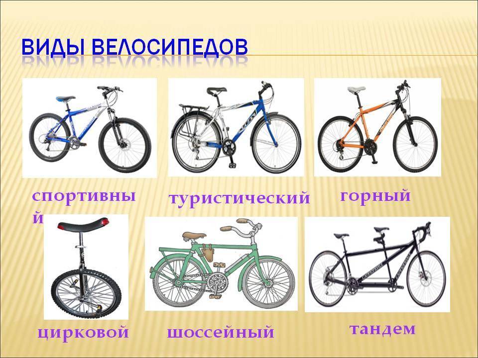 Чем отличаются велосипеды: горные и дорожные, мужские и женские