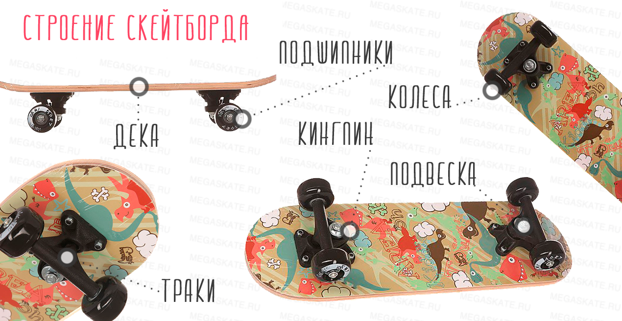 Скейтборд. виды и устройство. как выбрать и катания. начинающим | japanbi.ru