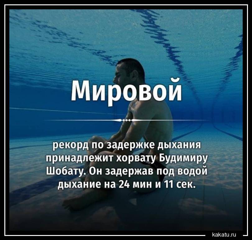 ✅ рекорд гиннесса по задержке дыхания под водой - velomania.su