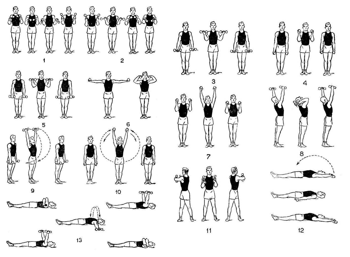 Зарядка для рук для похудения. Гантельная гимнастика для мужчин комплексы упражнений. Комплекс упражнений с Ган. Занятия для рук с гантелями. Комплекс с гантелями для женщин для похудения.