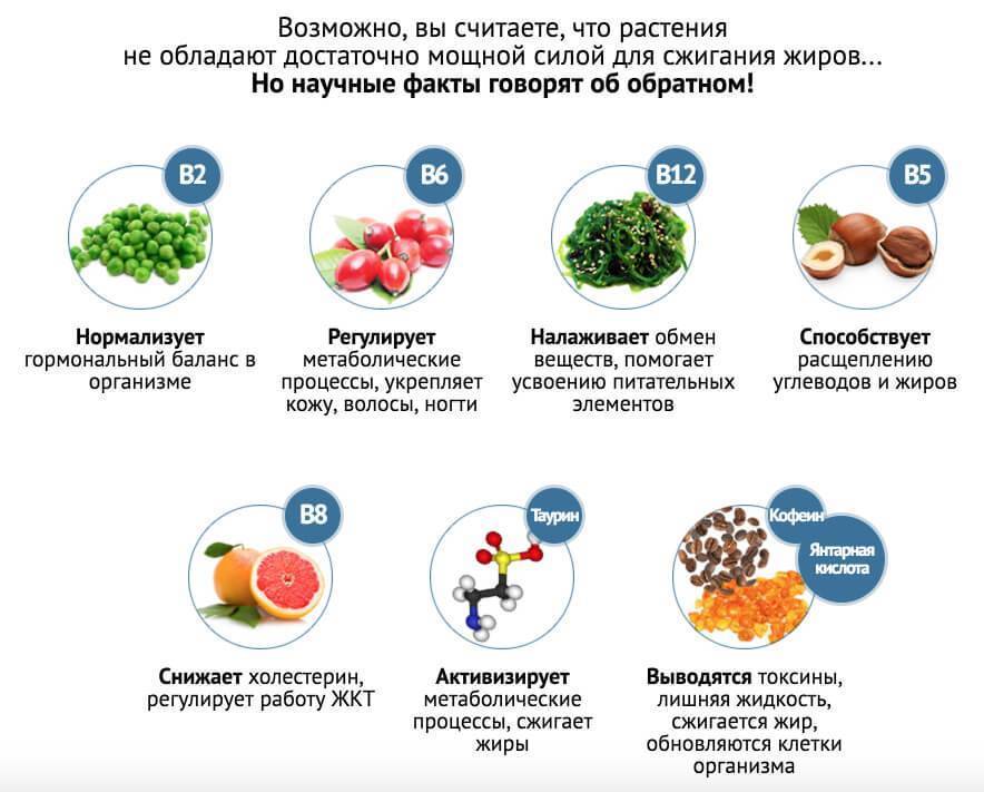 Как ускорить метаболизм после 40 лет и похудеть - allslim.ru