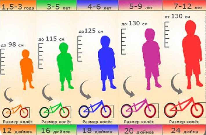 Диаметр колес велосипеда по росту для ребенка: как выбрать, чем померять размер