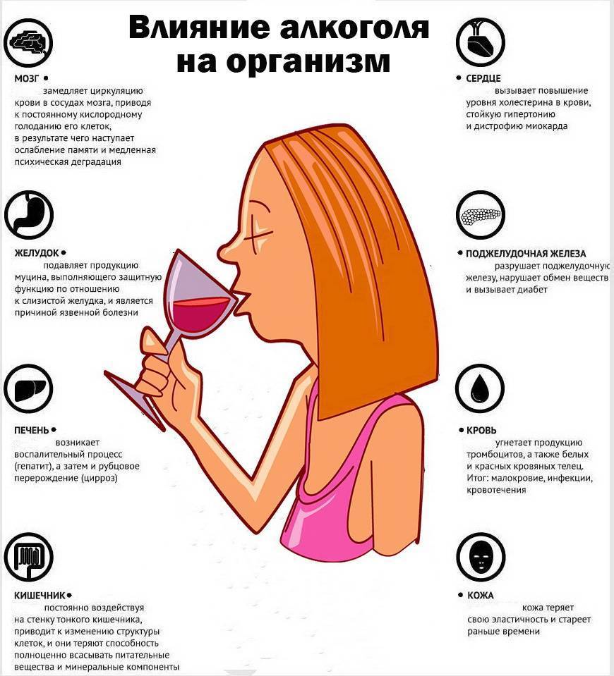 Можно ли пить алкоголь на диете | tochka.by