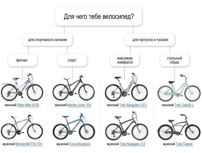 Крути педали! 10 секретов обучения езде на велосипеде для взрослых  | другой город - интернет-журнал о самаре и самарской области
