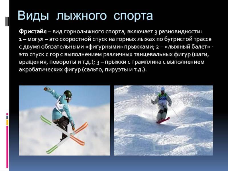 Интересные факты о лыжном спорте детям. интересные факты о лыжах. лыжи разной длинны