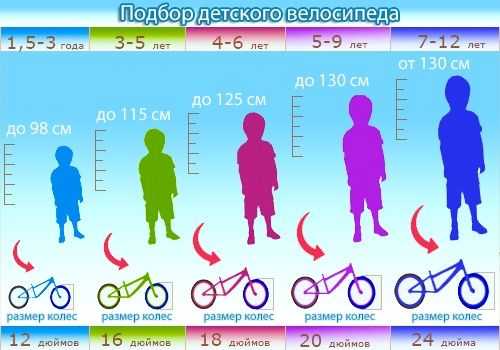 Как подобрать велосипед для ребенка 4 лет, обзор моделей