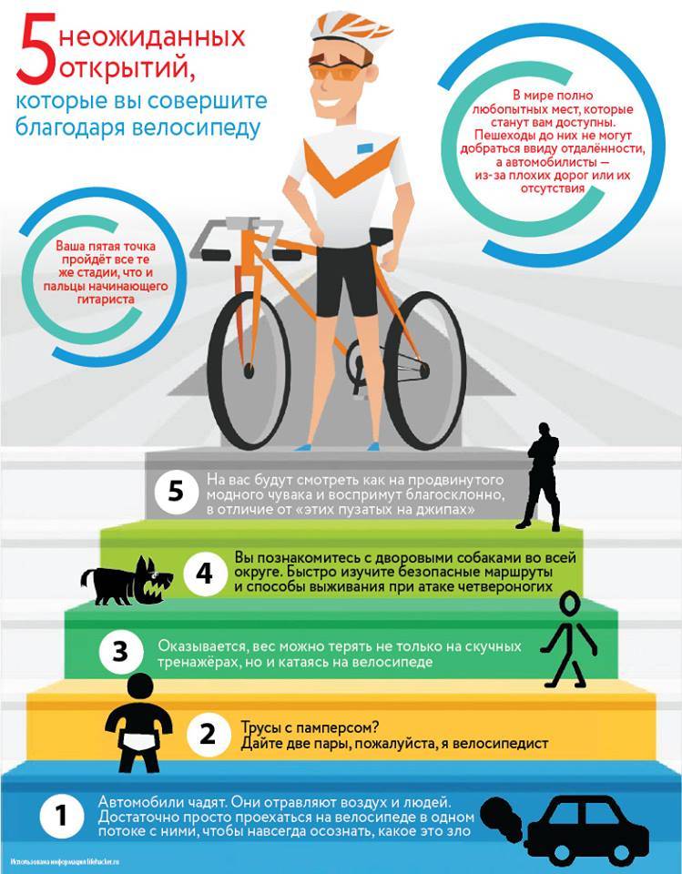 Езда на велосипеде — плюсы и минусы для человека