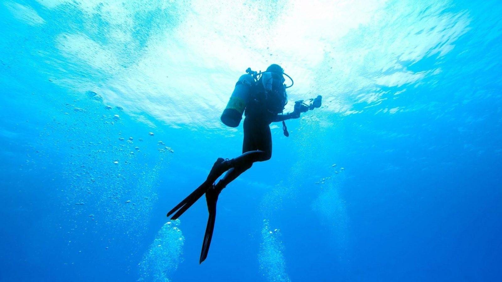 В чем разница между дайверами уровня scuba diver и open water diver? | padi