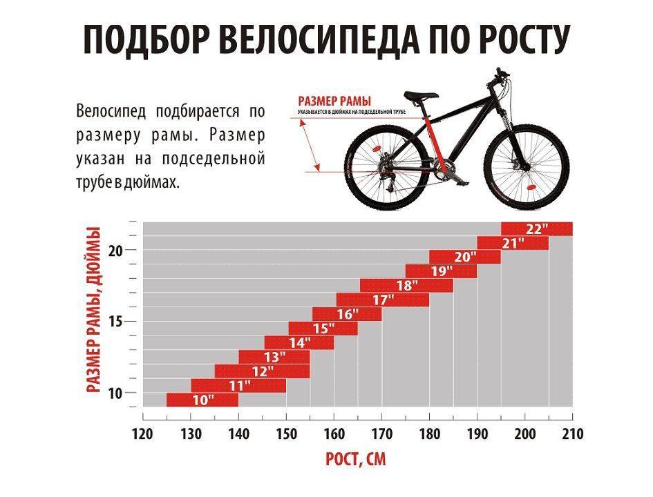 Размер рамы велосипеда по росту велосипедиста + наглядная таблица