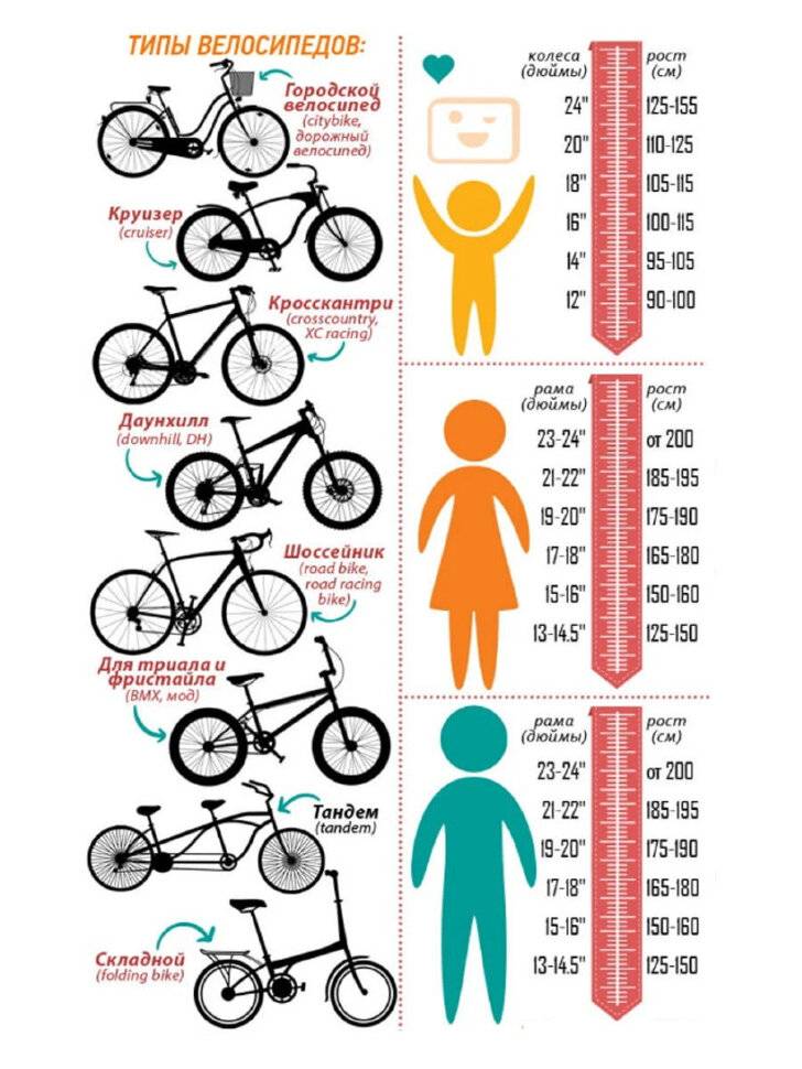 Как выбрать подростковый велосипед для девочки по возрасту и росту