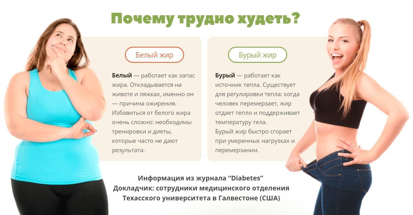 Почему люди толстеют после 40 лет и как это исправить | uzbekistan tennis federation