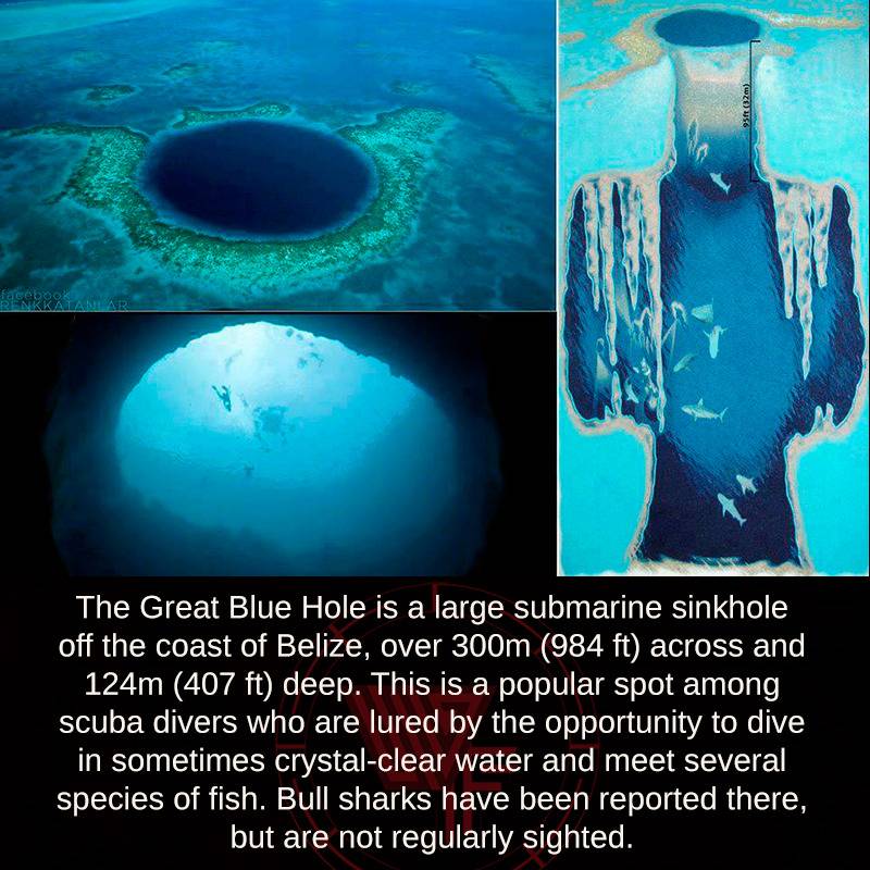 Большая голубая дыра белиз (фото, интересные факты, видео)