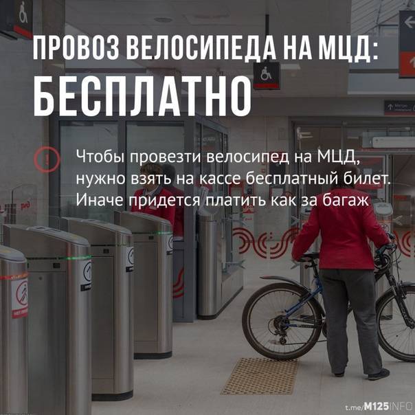 ✅ можно ли провезти велосипед в метро - veloexpert33.ru