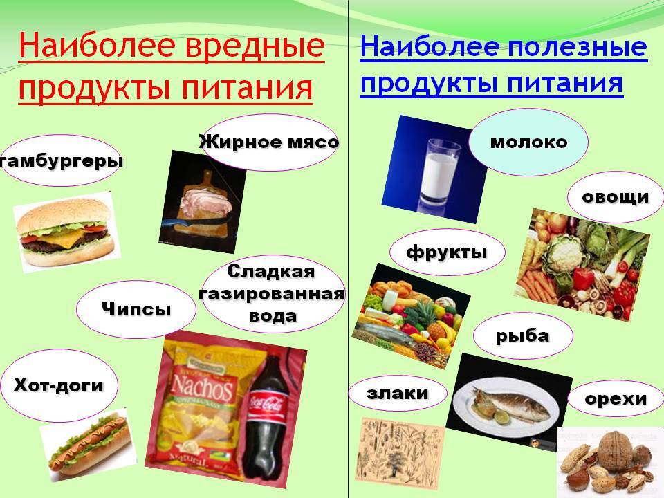 Безкалорийная еда и продукты с «отрицательной» калорийностью
безкалорийная еда: список продуктов с отрицательной калорийностью