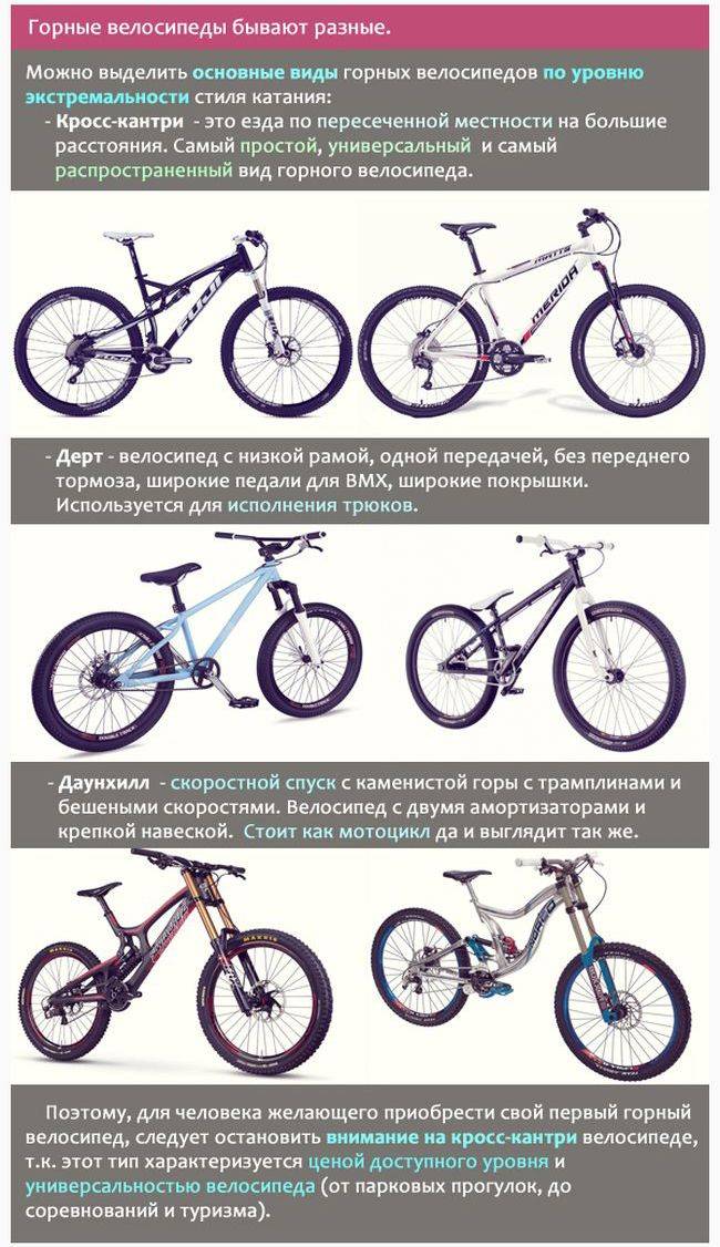 Виды и особенности спортивных велосипедов
