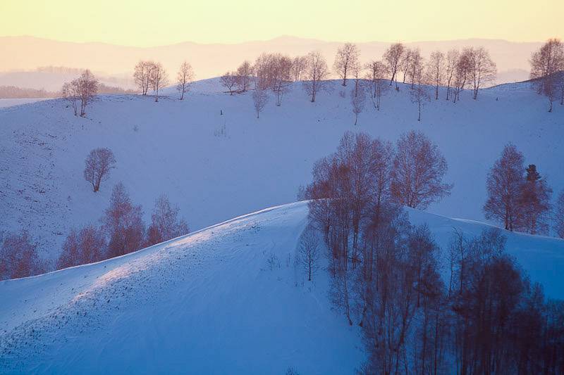 Горные лыжи на алтае — туристер.ру
