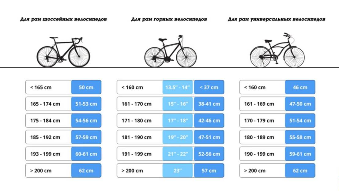 Выбираем размер рамы велосипеда по росту: таблица и общие рекомендации