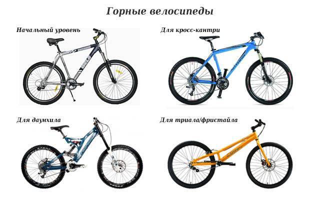 Классификация современных велосипедов (типы современных велосипедов) 2021 - «agbike: велосипед и велотуризм»
