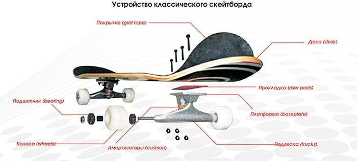 Скейтборд для ребенка - как выбрать, как научиться кататься, трюки | rucheyok.ru