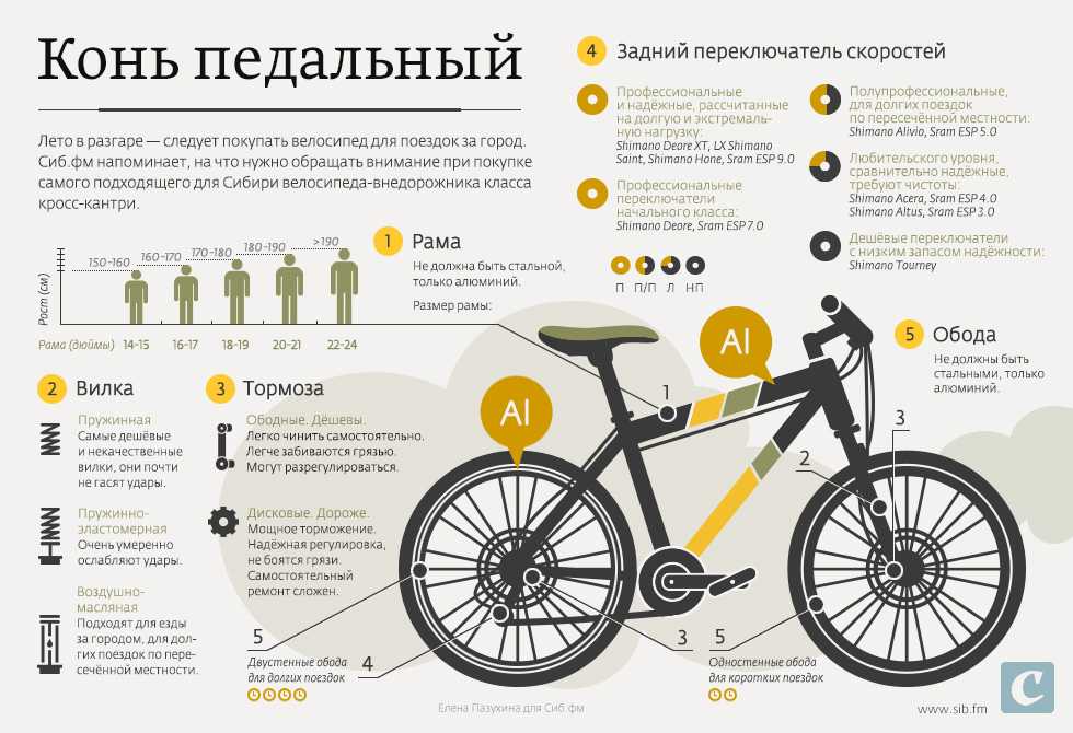 Подбор велосипеда по росту и весу, фото / размер рамы и колес, видео