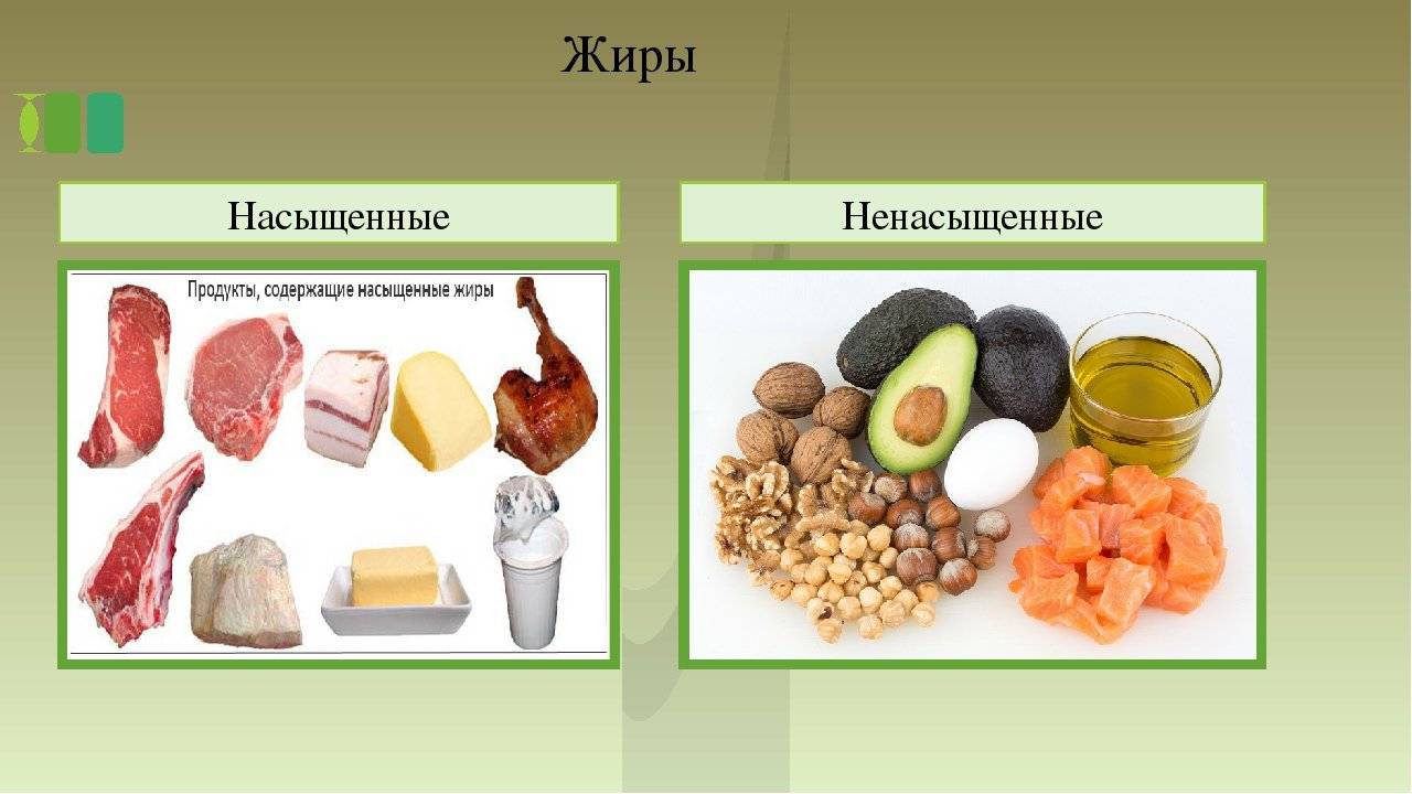 Здоровые продукты с высоким содержанием жиров