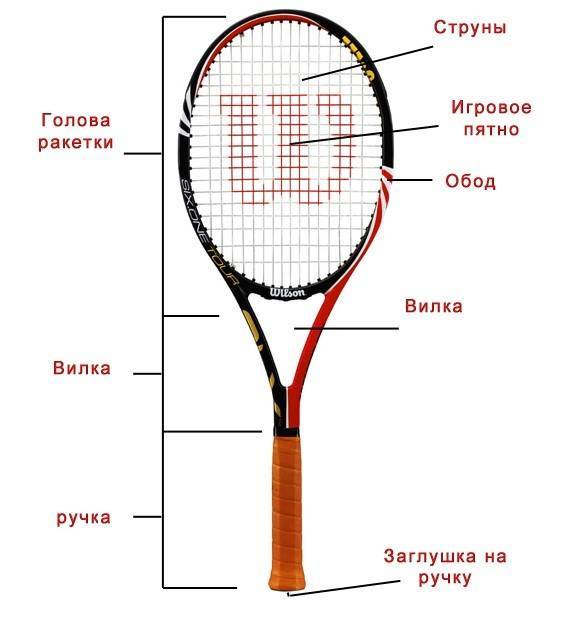 Как выбрать теннисную ракетку для большого тенниса, основные критерии