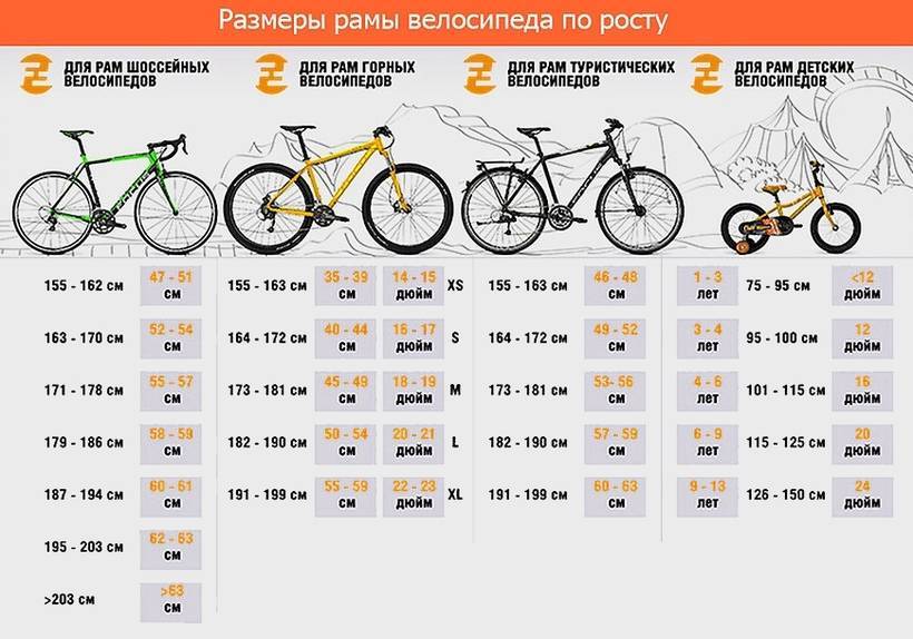 Размер рамы велосипеда по росту мужчины и женщины: таблица