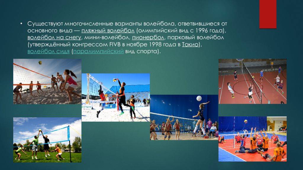 ✅ ютуб правила игры в парковый волейбол. что такое парковый волейбол - zevs-studio.ru