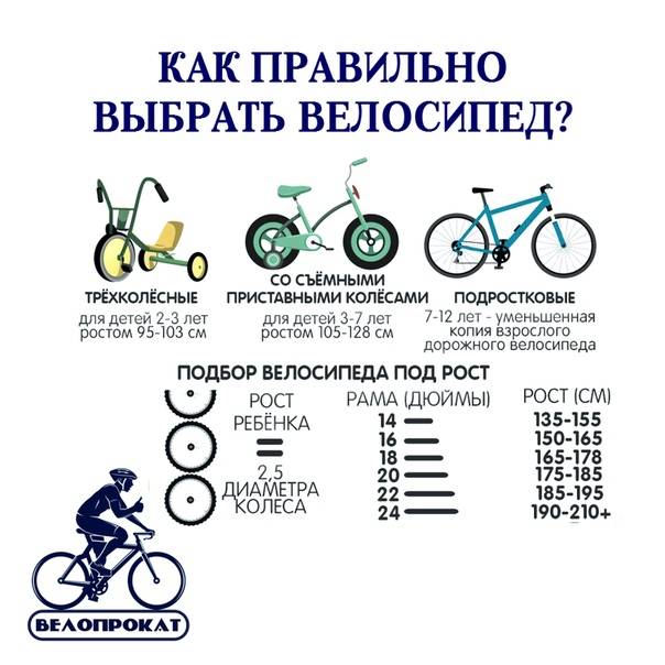 Выбираем велосипед: основные критерии и нюансы