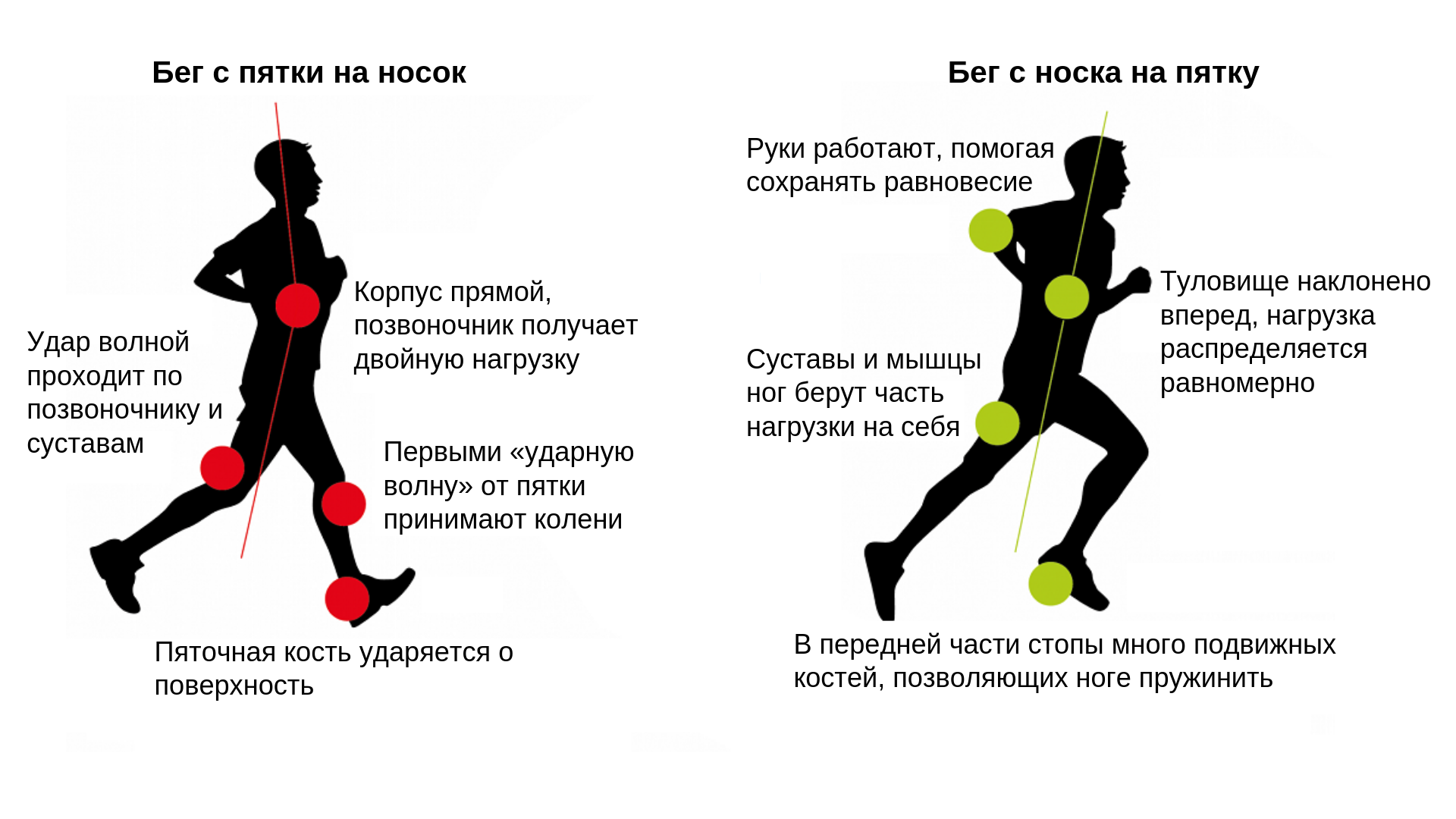30 видов бега и их особенности - "марафонец"