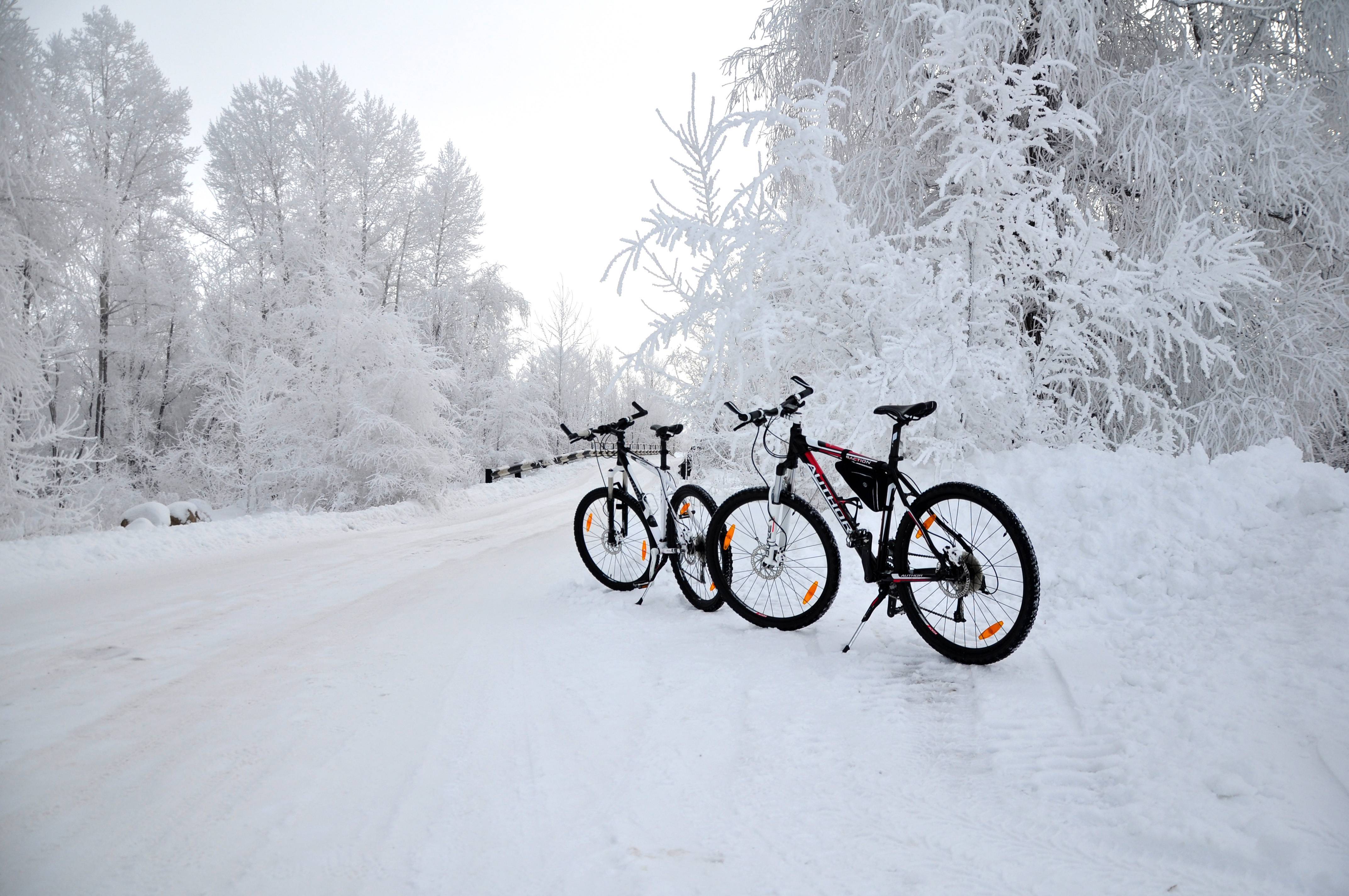 Велоспорт зимой: советы по экипировке, технике катания и здоровью