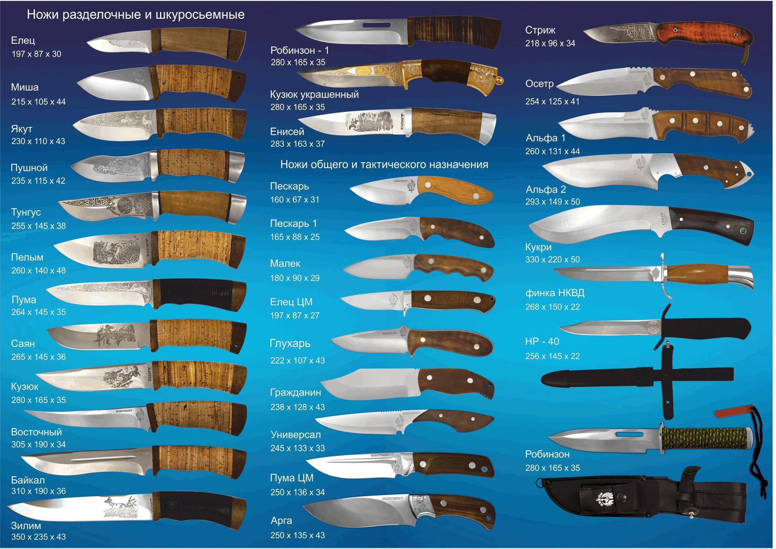 Части ножа - что такое клинок и из он состоит: лезвие, рикассо, пята, обух, голомень, чойл и другие названия