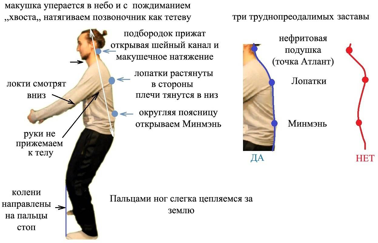 Ци фа. Упражнение большое дерево в цигун. Дыхание спинного мозга цигун. Поза дерева цигун. Цыгунупражнение дерево.