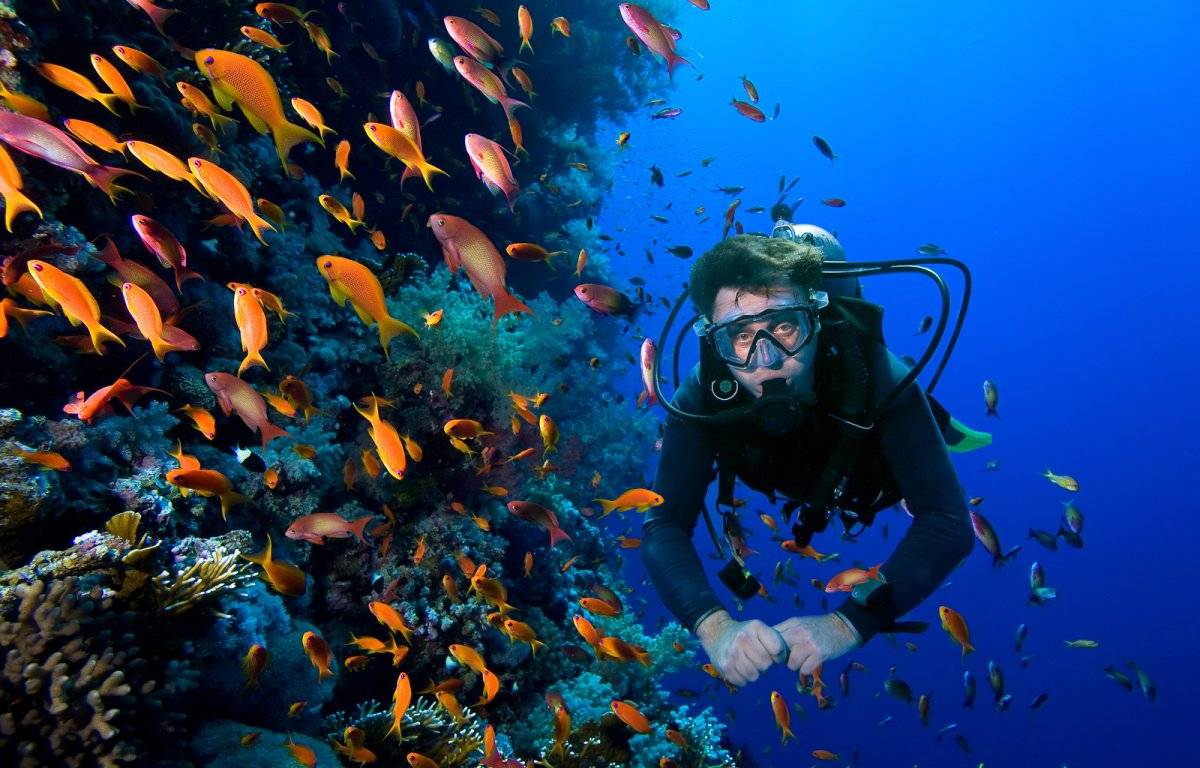Мировой рекорд по задержке дыхания под водой