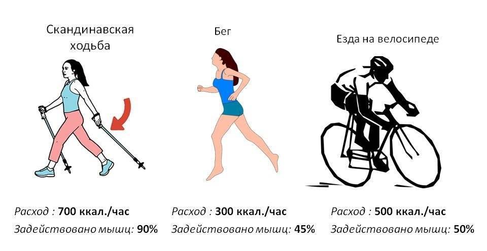 Сколько нужно ездить на велосипеде, чтобы похудеть. преимущества и недостатки езды на велосипеде
