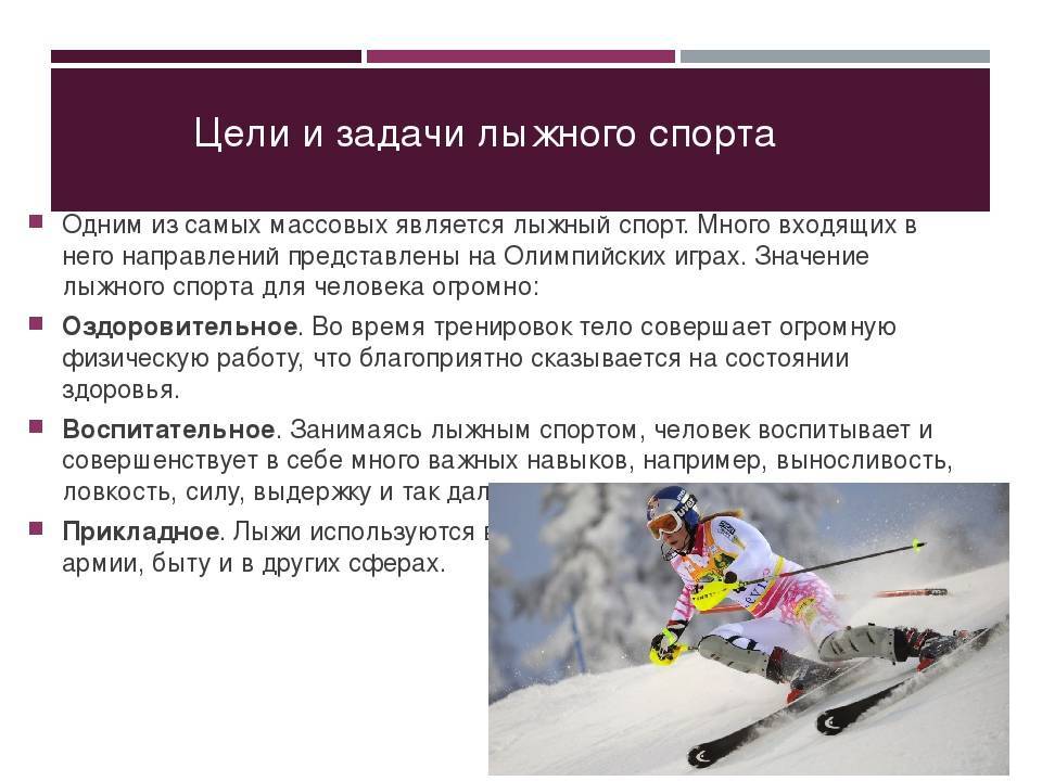 Интересные факты и данные про лыжи | vivareit