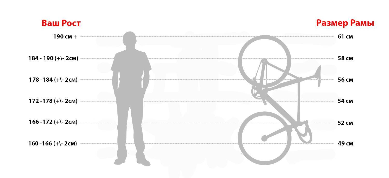 Размер рамы велосипеда по росту: таблица, как выбрать ростовку