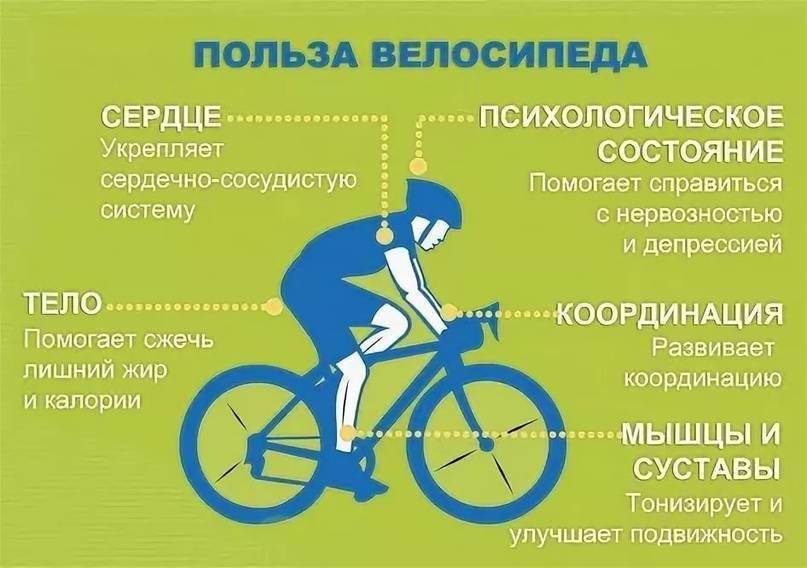 Езда на велосипеде для похудения, как снизить вес с помощью велоспорта | alkopolitika.ru
