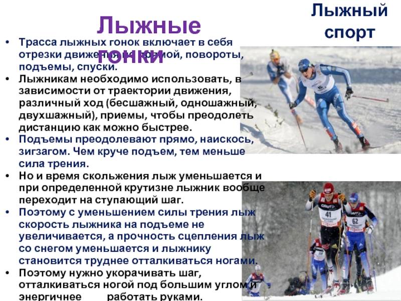 Виды лыжного спорта. разновидности лыжных видов спорта